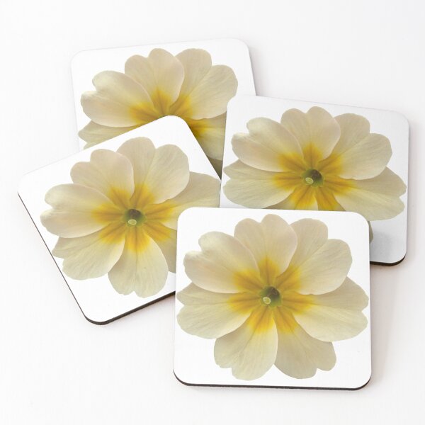 Item preview, Cream Flower Primrose Still Life Floral Photography designed and sold by CottoVerdi.