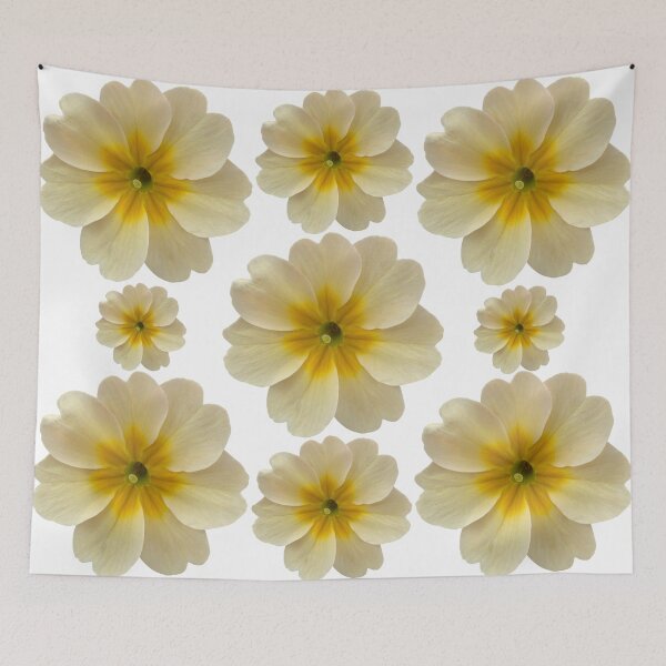 Item preview, Cream Flower Primrose Still Life Floral Photography designed and sold by CottoVerdi.