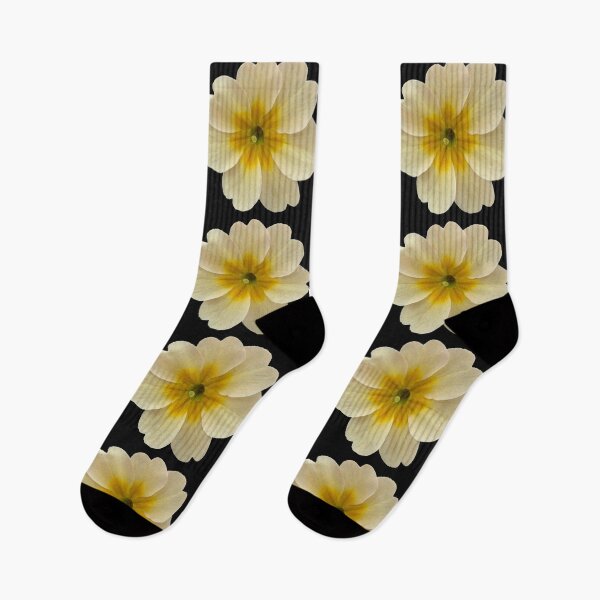 Item preview, Cream Flower Primrose Still Life Floral Photography on Black designed and sold by CottoVerdi.