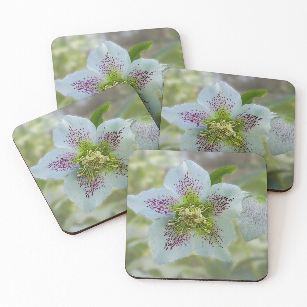 Item preview, Coasters (Set of 4) designed and sold by Alisonchambers2.