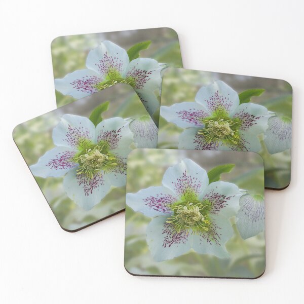 Item preview, Spring Beauty designed and sold by Alisonchambers2.