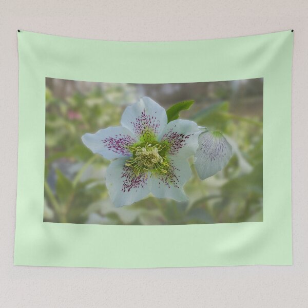 Item preview, Spring Beauty designed and sold by Alisonchambers2.