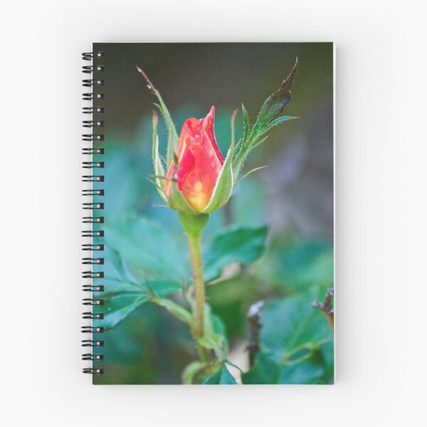 Item preview, Single Red Bud designed and sold by Diego Re.