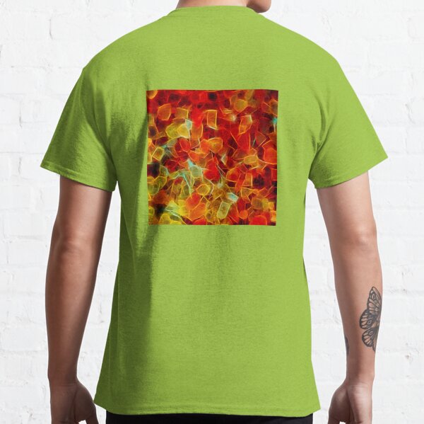 himalayasalz – ヒマラヤの塩 ¦ Classic T-Shirt