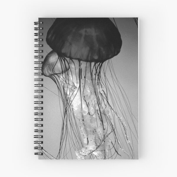 Item preview, Black jellyfish designed and sold by Isch.