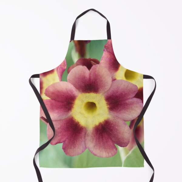 Item preview, Primula auricula designed and sold by Chris Burrows.