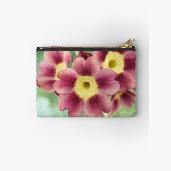 Item preview, Primula auricula designed and sold by Chris Burrows.