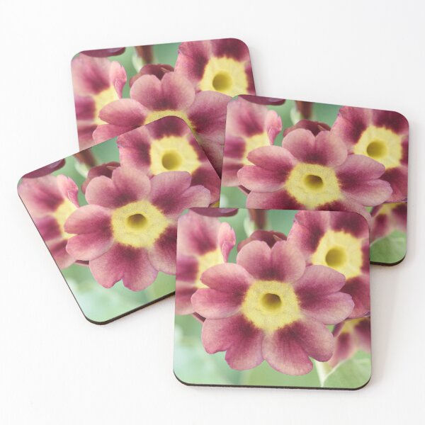 Item preview, Primula auricula designed and sold by Chris Burrows.