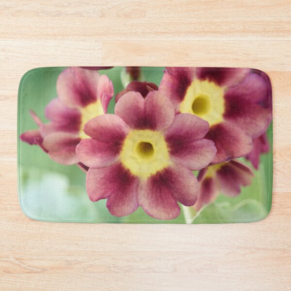 Item preview, Primula auricula designed and sold by Chris Burrows.