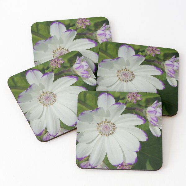 Item preview, White Flower designed and sold by D-GaP.