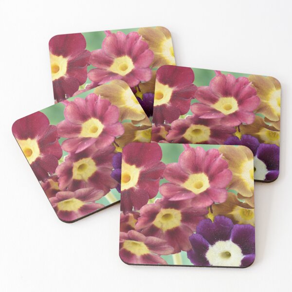 Item preview, Primula auricula designed and sold by Chris Burrows.