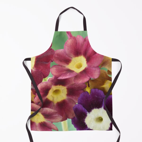Item preview, Primula auricula designed and sold by Chris Burrows.
