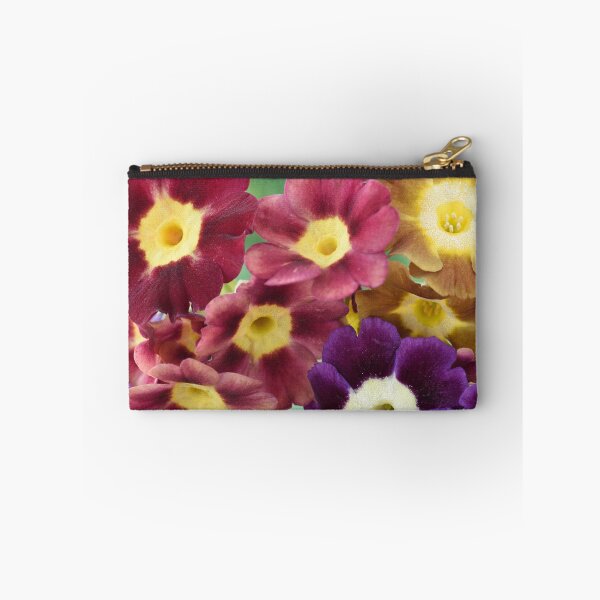 Item preview, Primula auricula designed and sold by Chris Burrows.