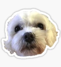 My Dog Sticker