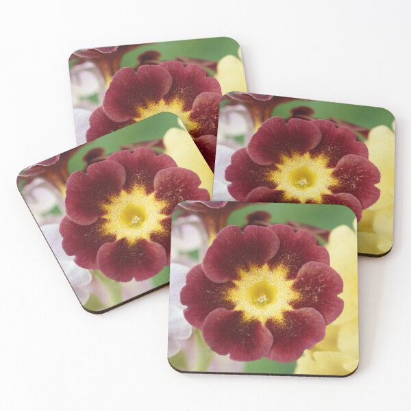 Item preview, Primula auricula designed and sold by Chris Burrows.