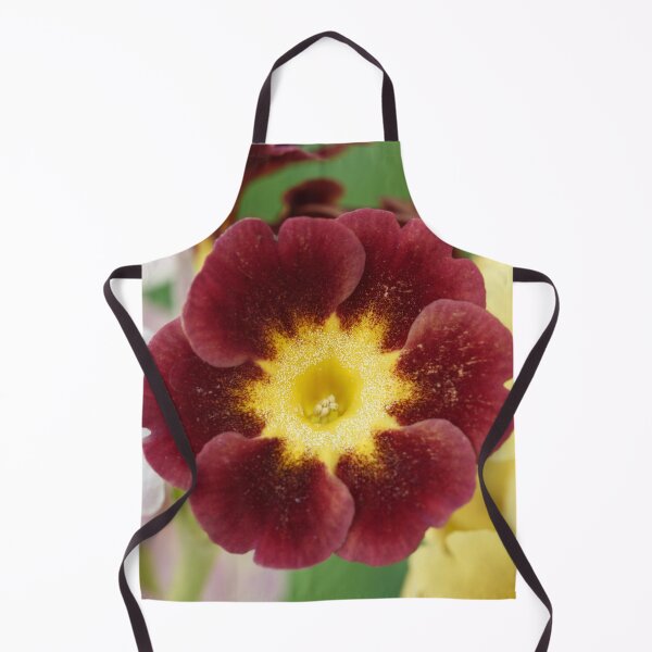 Item preview, Primula auricula designed and sold by Chris Burrows.
