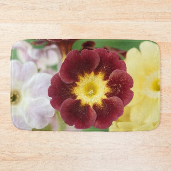 Item preview, Primula auricula designed and sold by Chris Burrows.