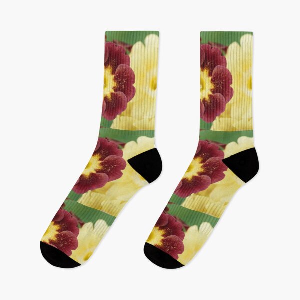 Item preview, Primula auricula designed and sold by Chris Burrows.