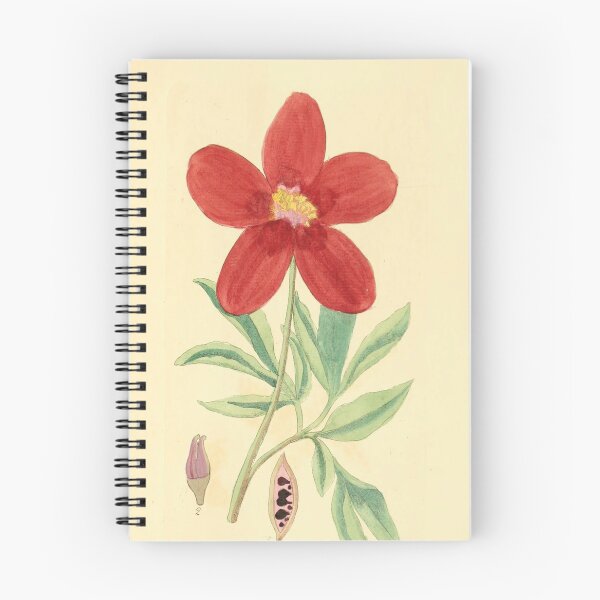 Item preview, Adolphe Millot Fleurs designed and sold by AllPerfect.