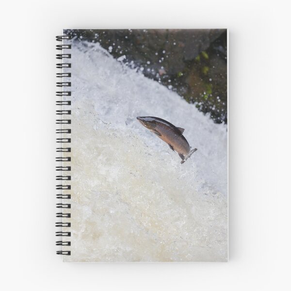 Item preview, Leaping salmon on waterfall designed and sold by chanonry.