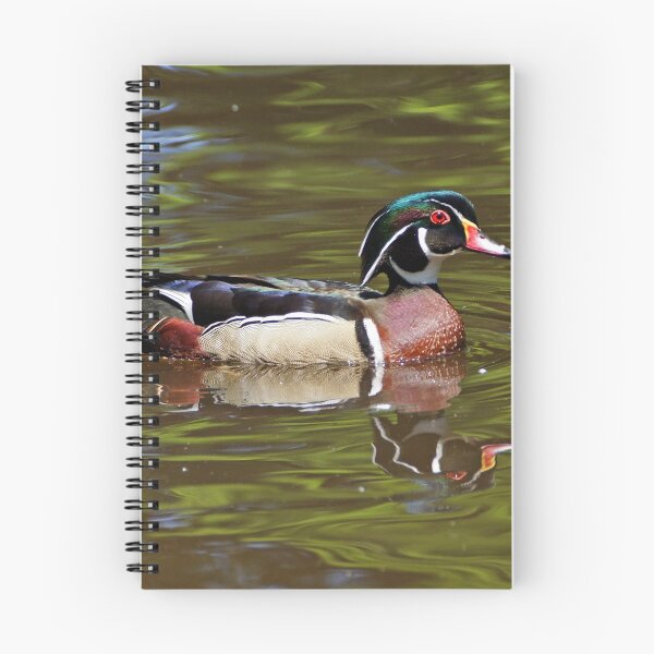 Aperçu de l'œuvre Canard de bois créée et vendue par Sandy Keeton.