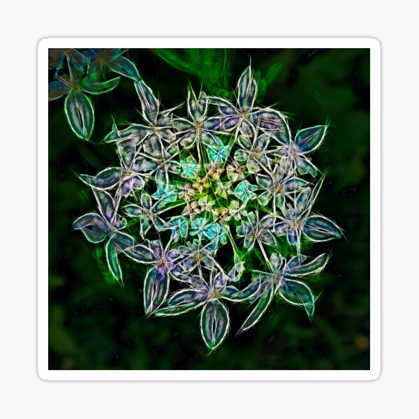 wiesenbärenklau – heracleum sphondylium – ハナウド ¦  Sticker