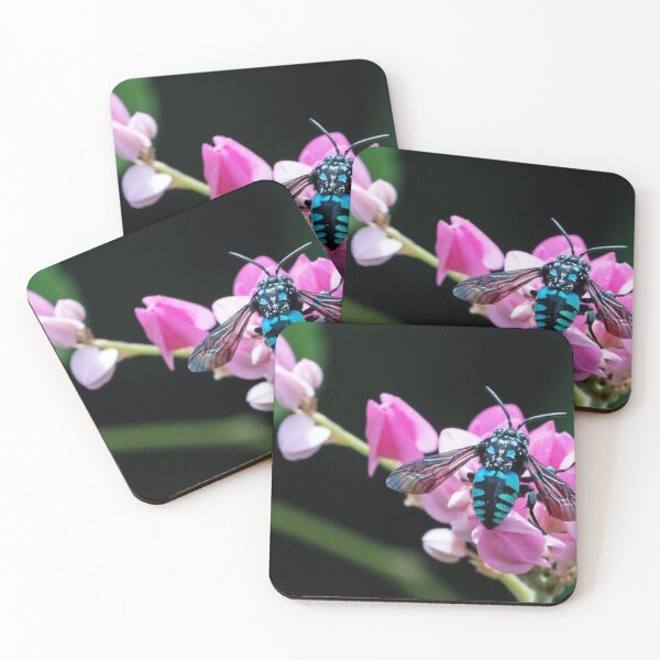 Item preview, Neon Cuckoo Bee Thyreus Nitidulus designed and sold by IMPHives.