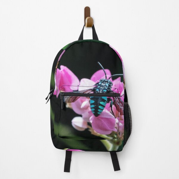 Item preview, Neon Cuckoo Bee Thyreus Nitidulus designed and sold by IMPHives.