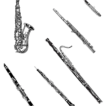 Artwork thumbnail, Woodwind Musical Instruments Sticker Pack by BlakefourDesign