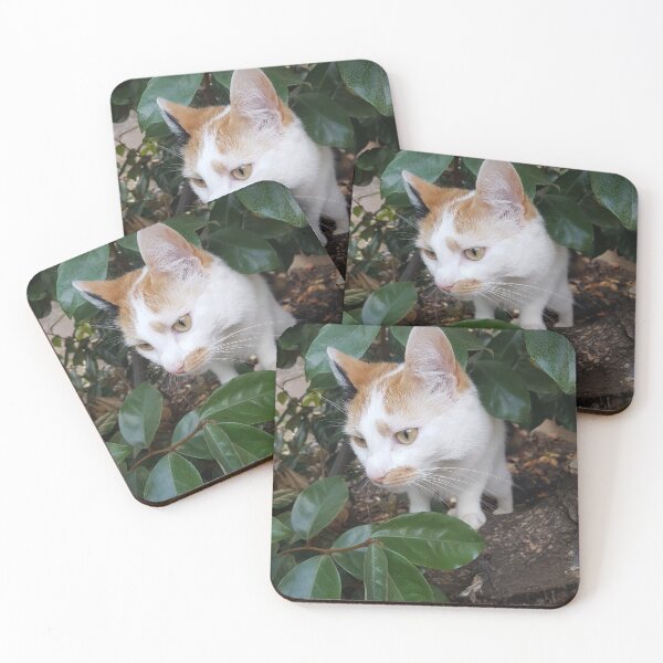 Item preview, Cute Little Kitten designed and sold by Mrspink16.