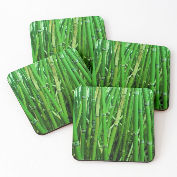 Item preview, Young Green Bamboo Shoots Photo for print designed and sold by mrtraz.