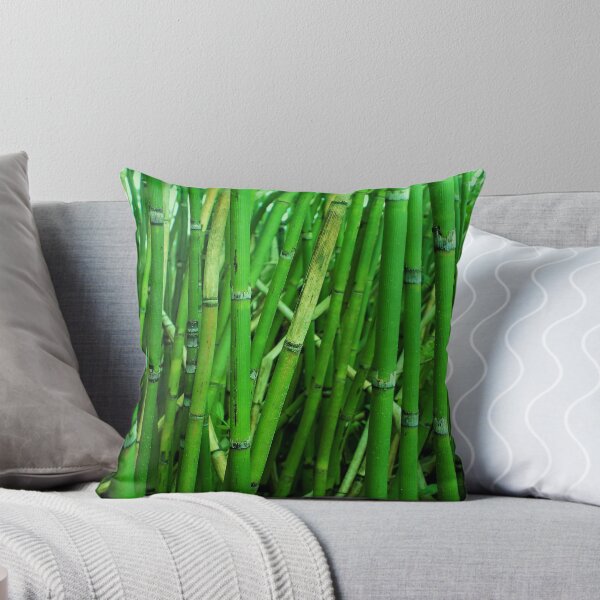 Item preview, Young Green Bamboo Shoots Photo for print designed and sold by mrtraz.