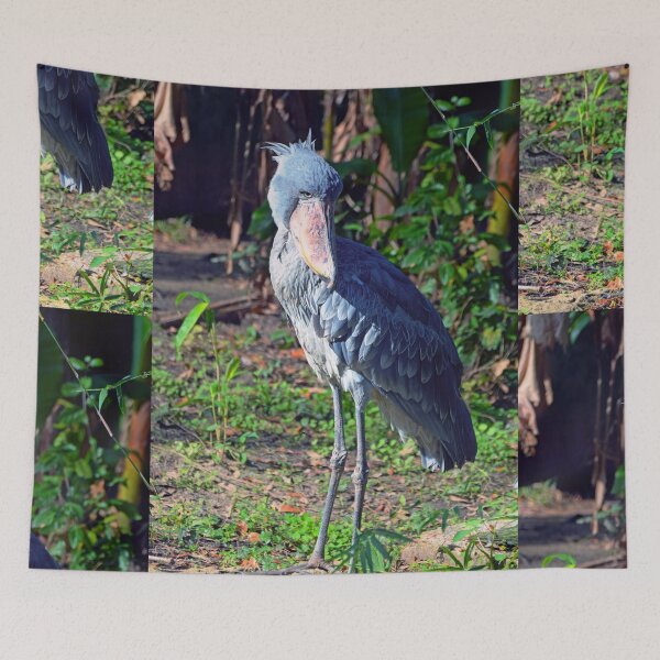 Item preview, Shoebill  designed and sold by Savannah Gibbs.
