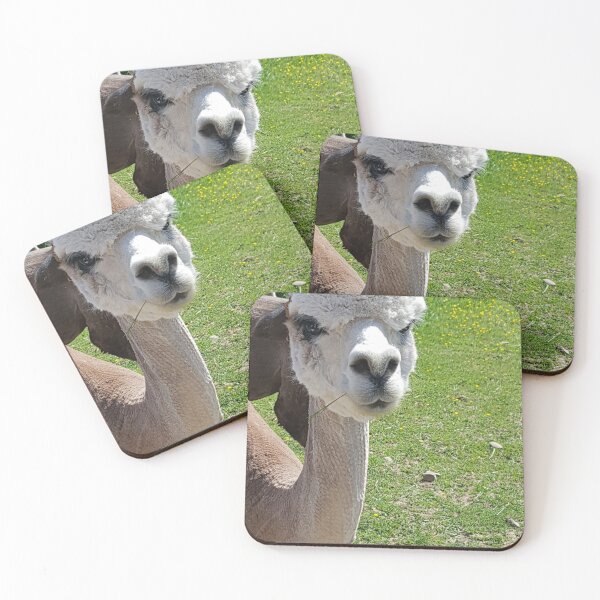Item preview, Alpaca Pout designed and sold by Mrspink16.
