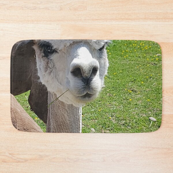 Item preview, Alpaca Pout designed and sold by Mrspink16.
