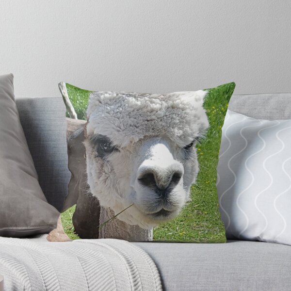 Item preview, Puchero de alpaca designed and sold by Mrspink16.