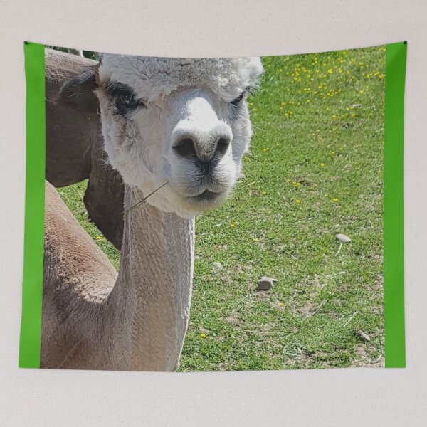 Item preview, Alpaca Pout designed and sold by Mrspink16.