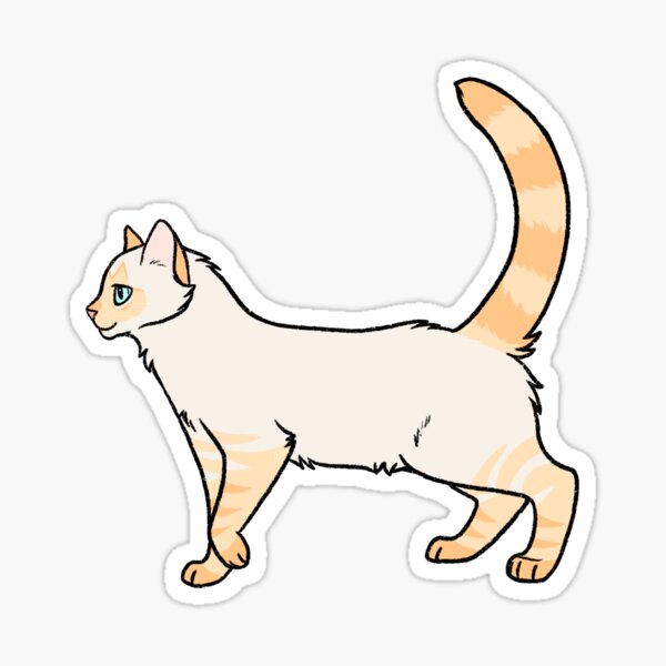 Flame point siamese