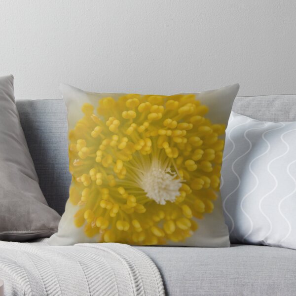 Item preview, Pulsatilla vulgaris  'Alba'  White pasqueflower designed and sold by Chris Burrows.