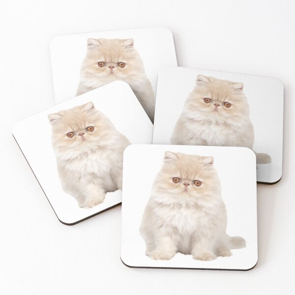 Aperçu de l'œuvre Photo de chat chaton persan créée et vendue par WearItOwnIt.