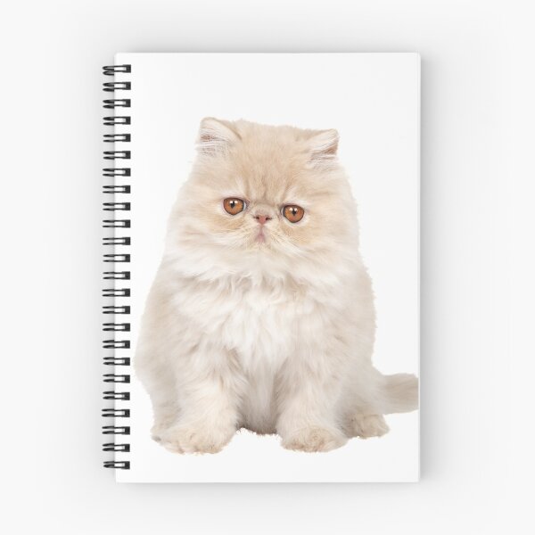 Item preview, Persian Kitten Cat Photo designed and sold by WearItOwnIt.