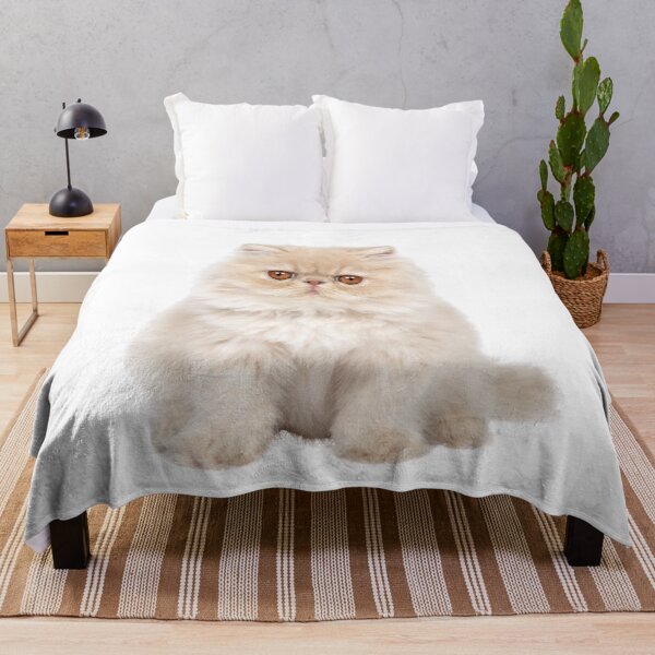Item preview, Persian Kitten Cat Photo designed and sold by WearItOwnIt.