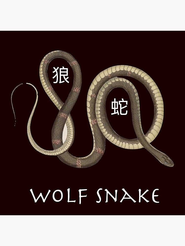 Explore the Best Wolfsnake Art