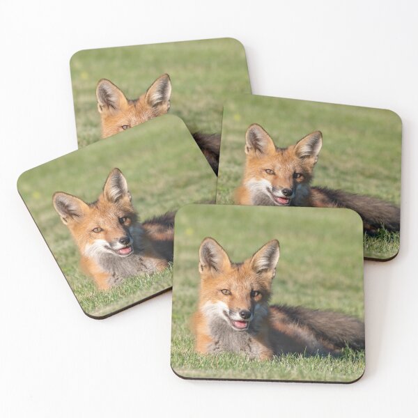 Item preview, Playful red fox kit resting in the grass designed and sold by Karen Hogan.
