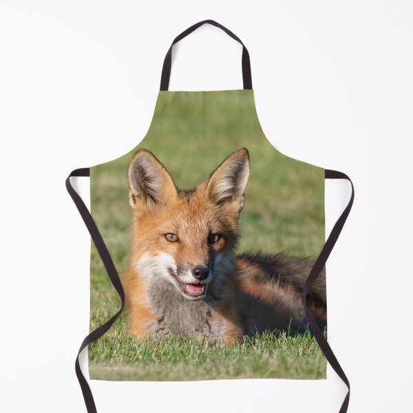 Item preview, Playful red fox kit resting in the grass designed and sold by Karen Hogan.