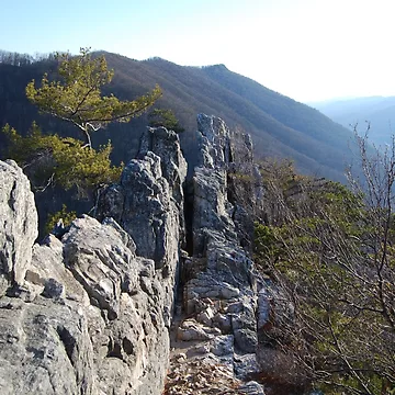 Artwork thumbnail, Seneca Rocks by dtheiris