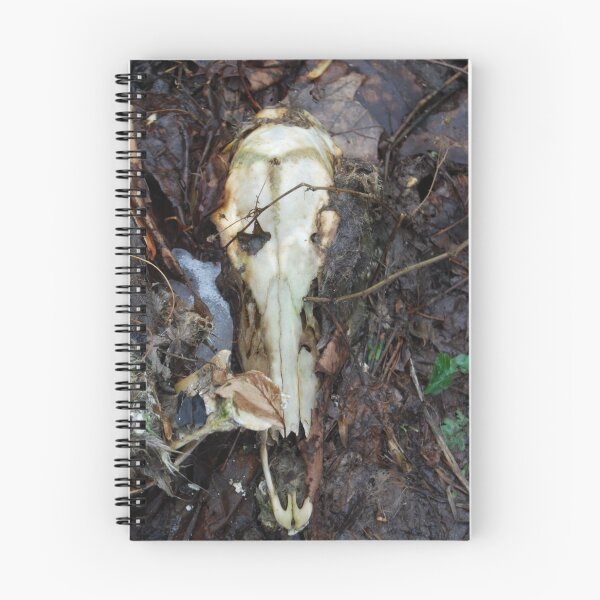 Item preview, Deer Skull designed and sold by dtheiris.
