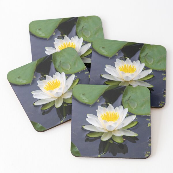 Item preview, Water Lily floating in a lake designed and sold by Karen Hogan.