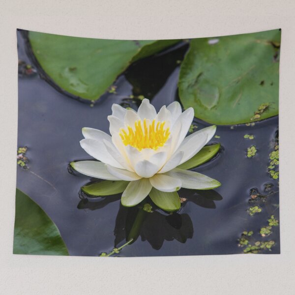 Item preview, Water Lily floating in a lake designed and sold by Karen Hogan.