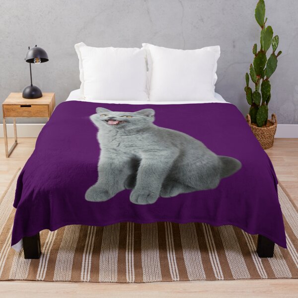 Item preview, British Shorthair Cat Kitten Photo designed and sold by WearItOwnIt.